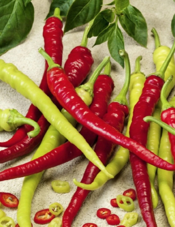 Paprika Baraní roh - pálivá F1